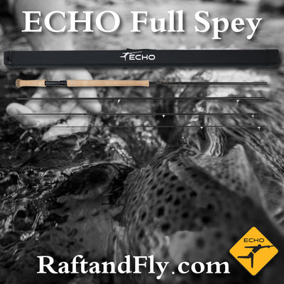 Echo Full Spey 6wt sale