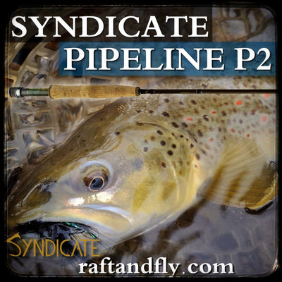 Syndicate P2 Pipeline Pro 2wt 10'0" euro nymph fly rod sale