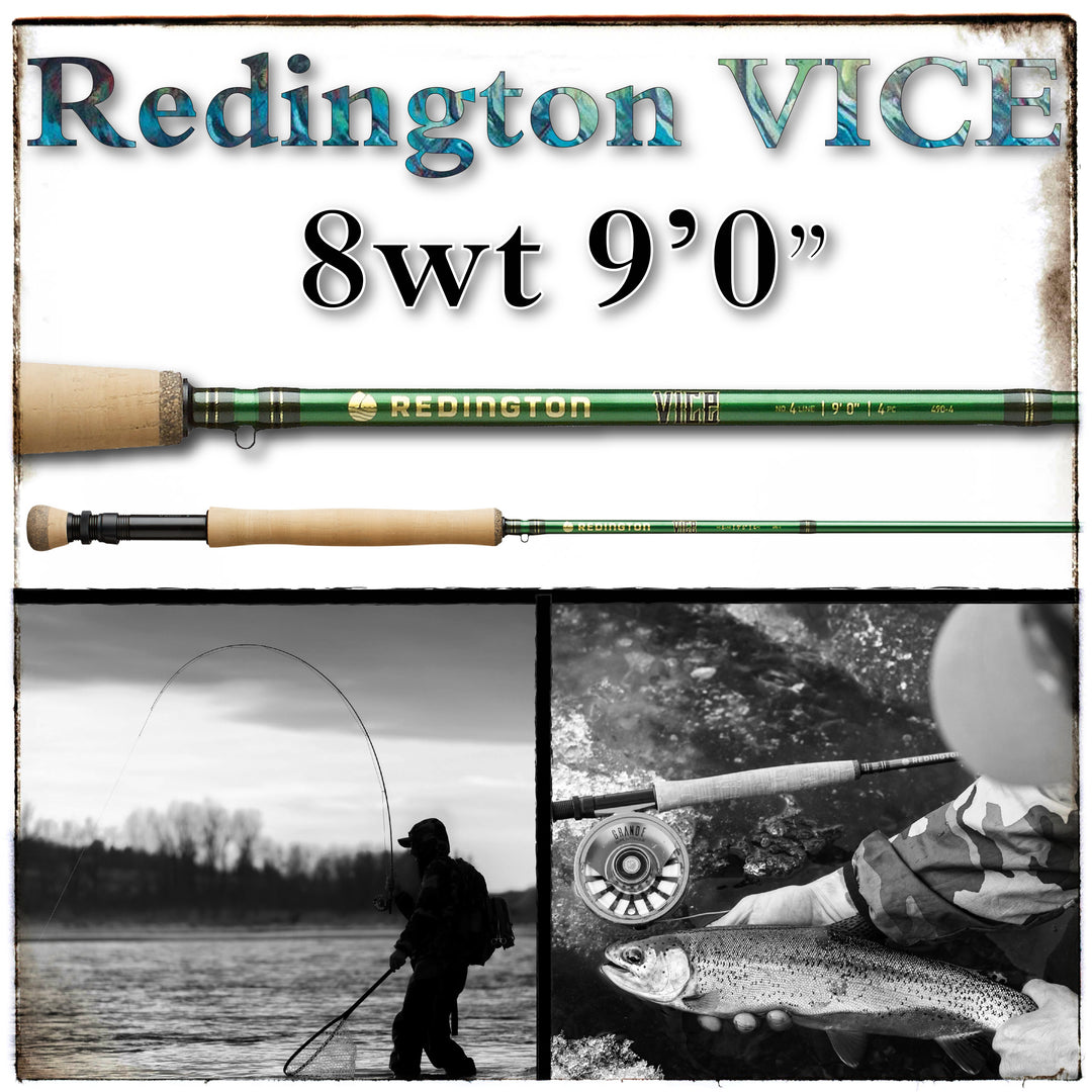 reel shimano aernos 2000 Roll Sports & Outdoors fishing lure earrings Shimano SRG10000SWAPG Saragosa SW Colour:ANCHOVY