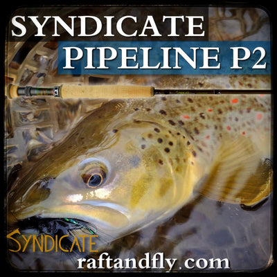 Syndicate P2 Pipeline Pro 3wt fighting butt sale