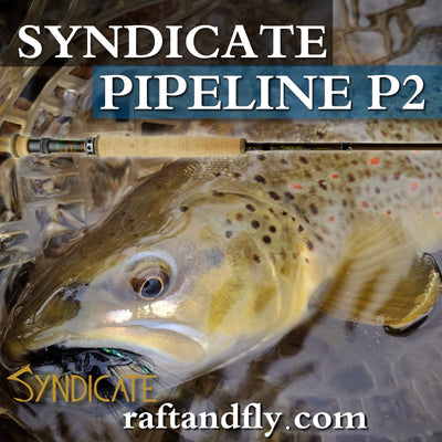 Syndicate P2 Pipeline 3wt 11' sale