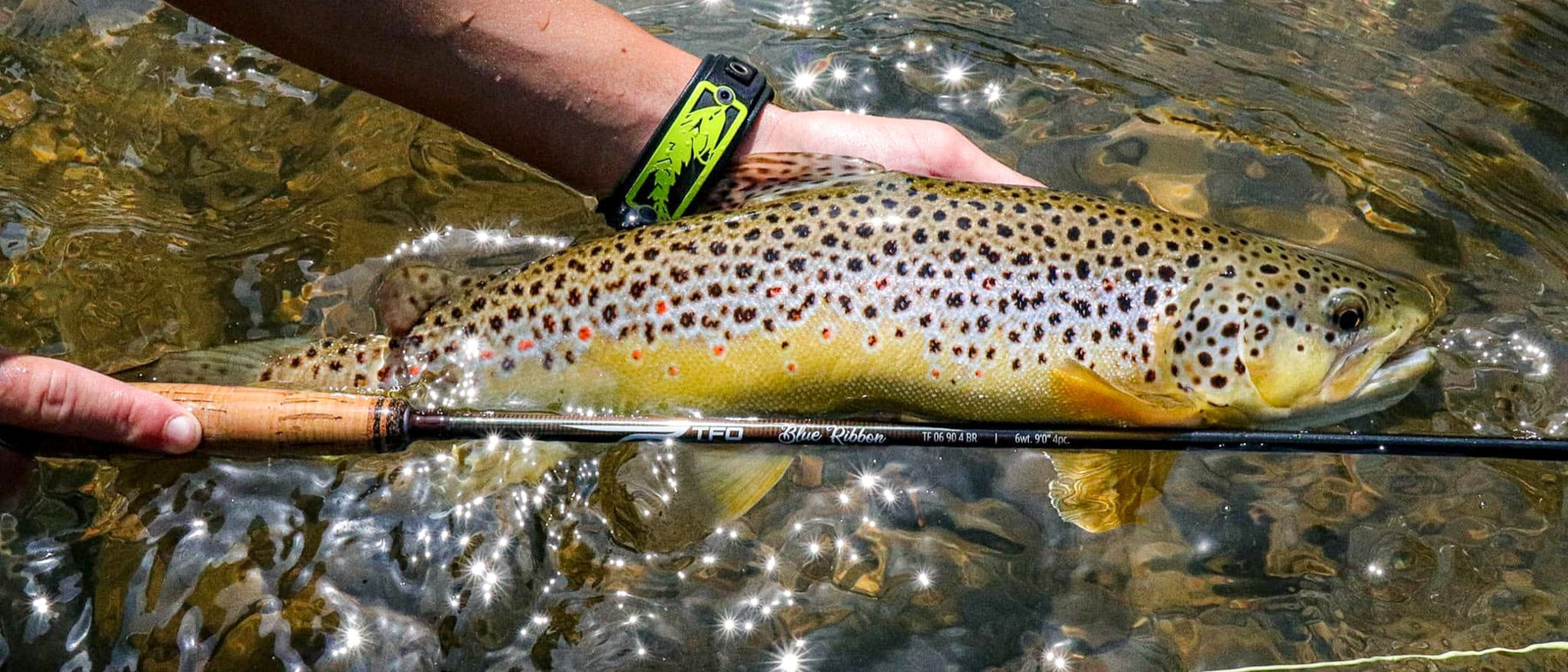 Blue Ribbon – Raft & Fly Shop